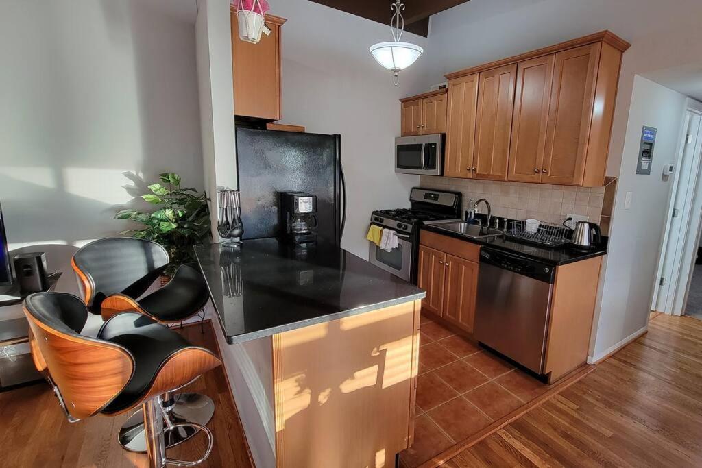 Entire One Bedroom Apartment Annandale Extérieur photo