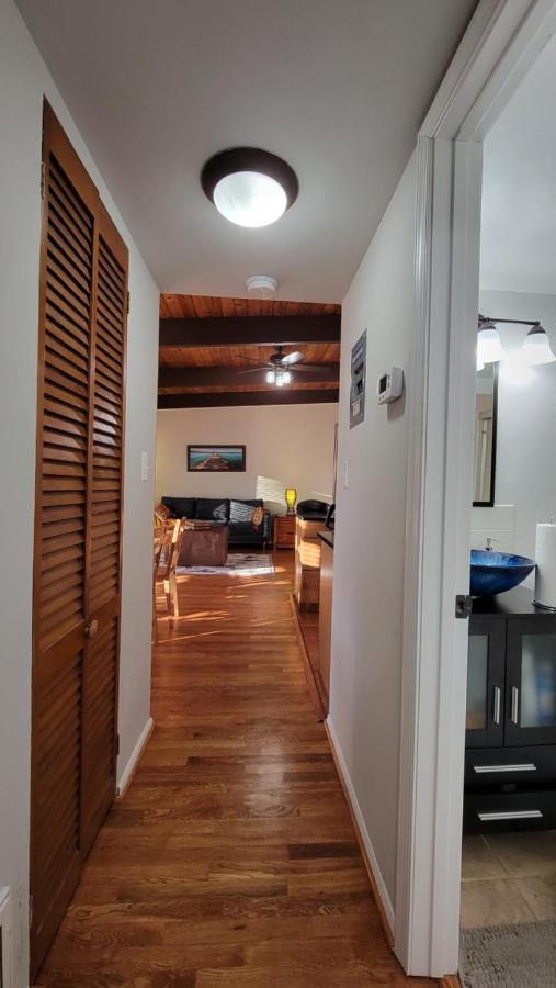 Entire One Bedroom Apartment Annandale Extérieur photo