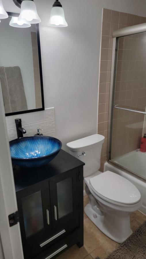 Entire One Bedroom Apartment Annandale Extérieur photo